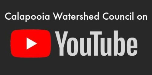 Calapooia Watershed Council YouTube Channel